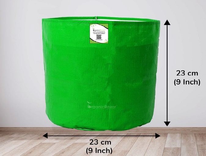 कोलियस फ्लावर प्लांट लगाने के लिए आवश्यक सामग्री - Material Required For Planting Coleus Plant In Hindi